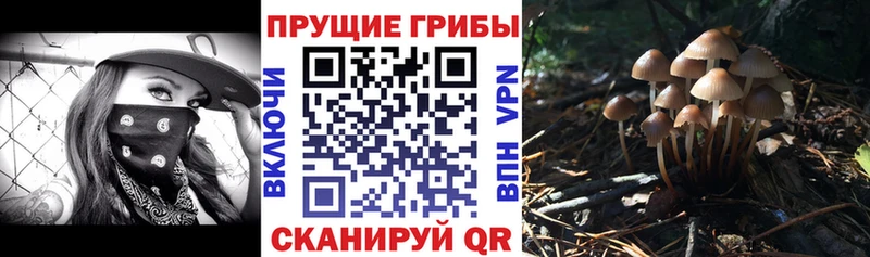 Галлюциногенные грибы ЛСД Углич