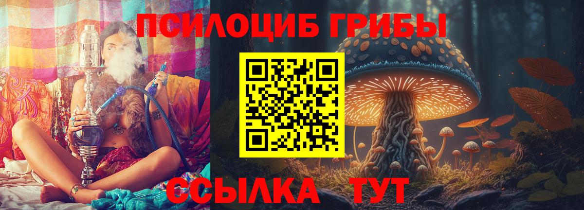Галлюциногенные грибы ЛСД Углич