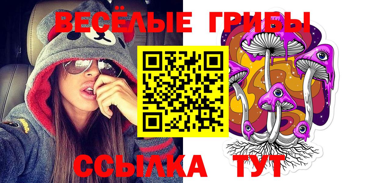 Галлюциногенные грибы Cubensis  Вход с VPN  Углич 