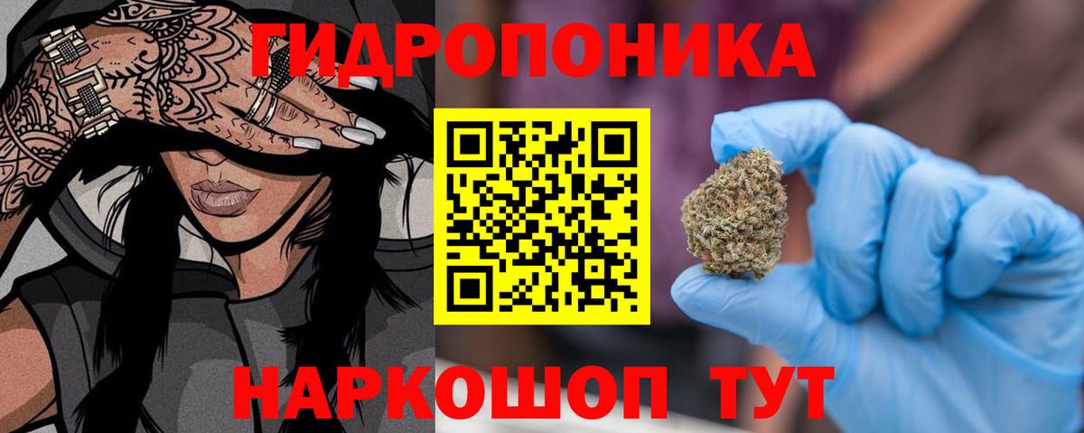 Канабис LSD WEED  Канабис AK-47  Углич  Бошки Шишки THC 21%  Вход с VPN  Шишки марихуана индика 